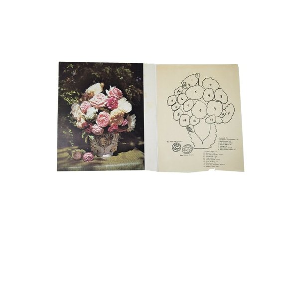 Vintage Picture of Various Flowers along w/Sheet Identifying Each Flower 14 X 11 - Picture 1 of 8